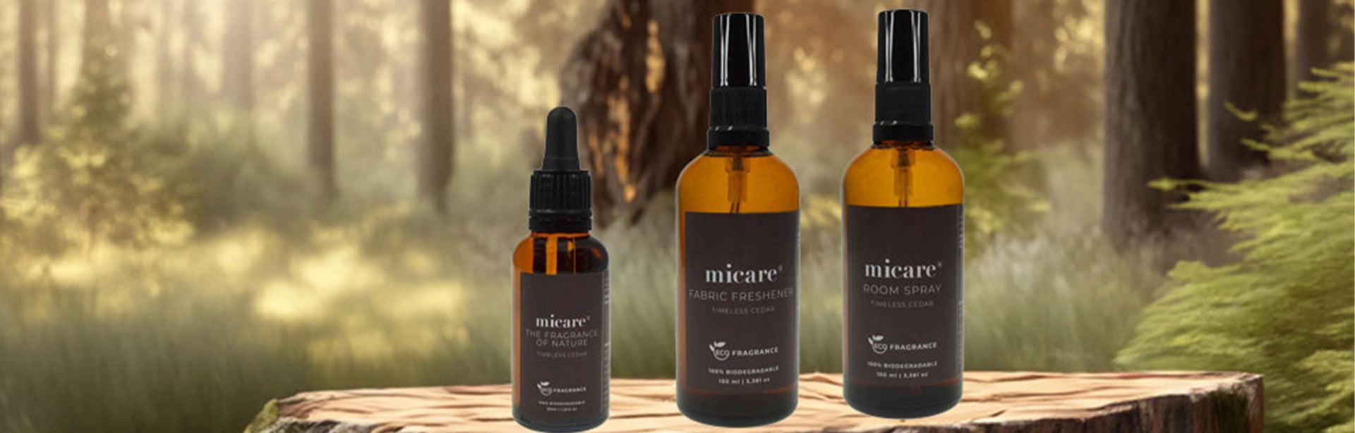 Timeless Cedar – Warme, holzige Noten mit natürlicher Frische